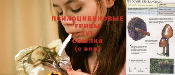 хмурый Снежногорск