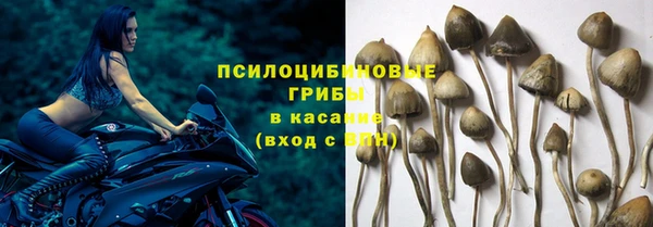 прущая мука Абдулино
