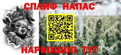 ECSTASY Камышлов