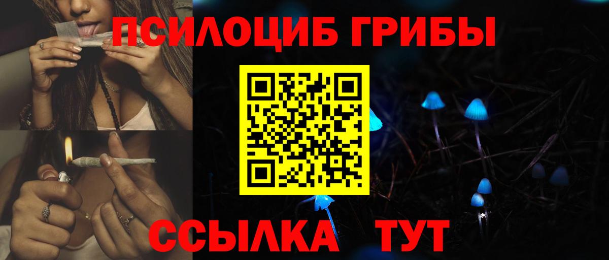Галлюциногенные грибы Cubensis Бугуруслан